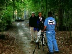 Fox News visits Lewis Bamboo
