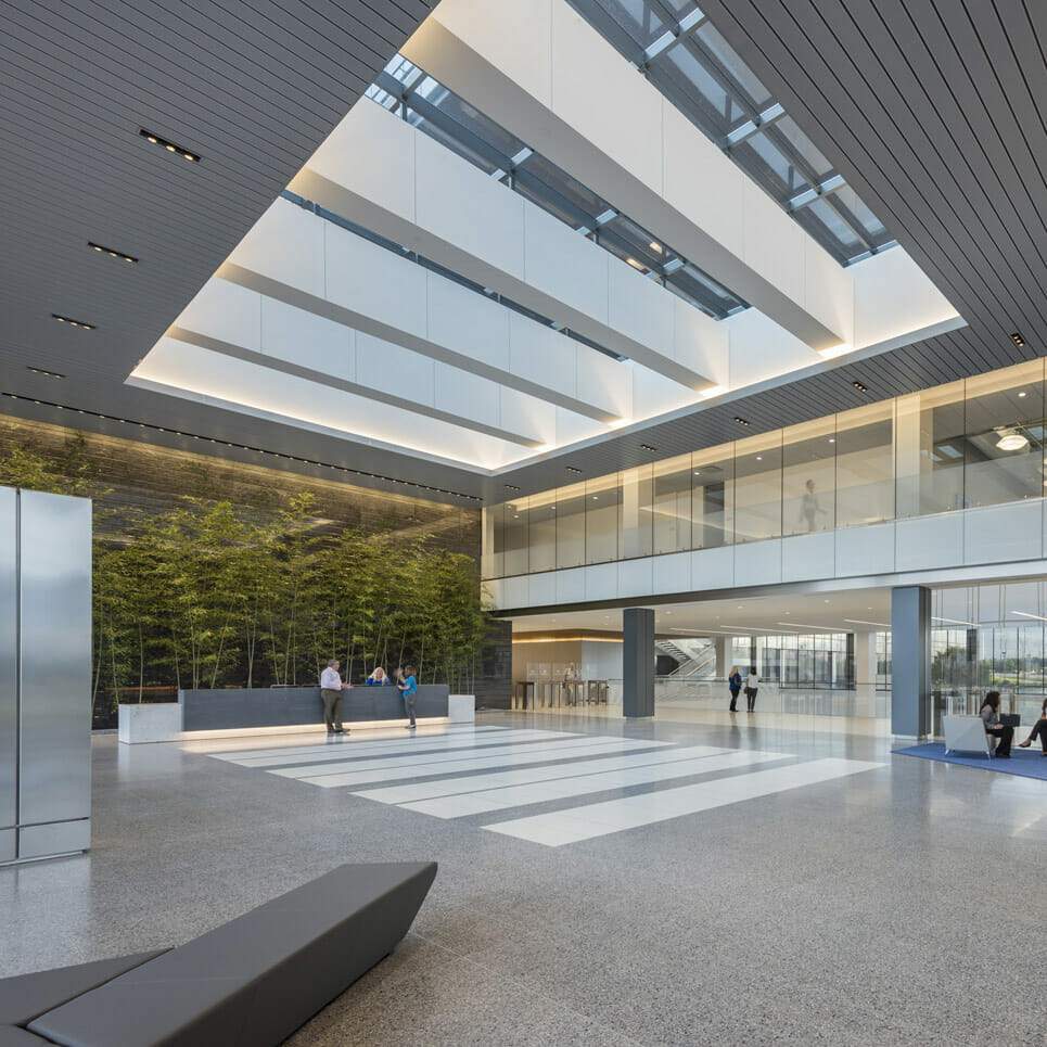 Indoor and Container Bamboo