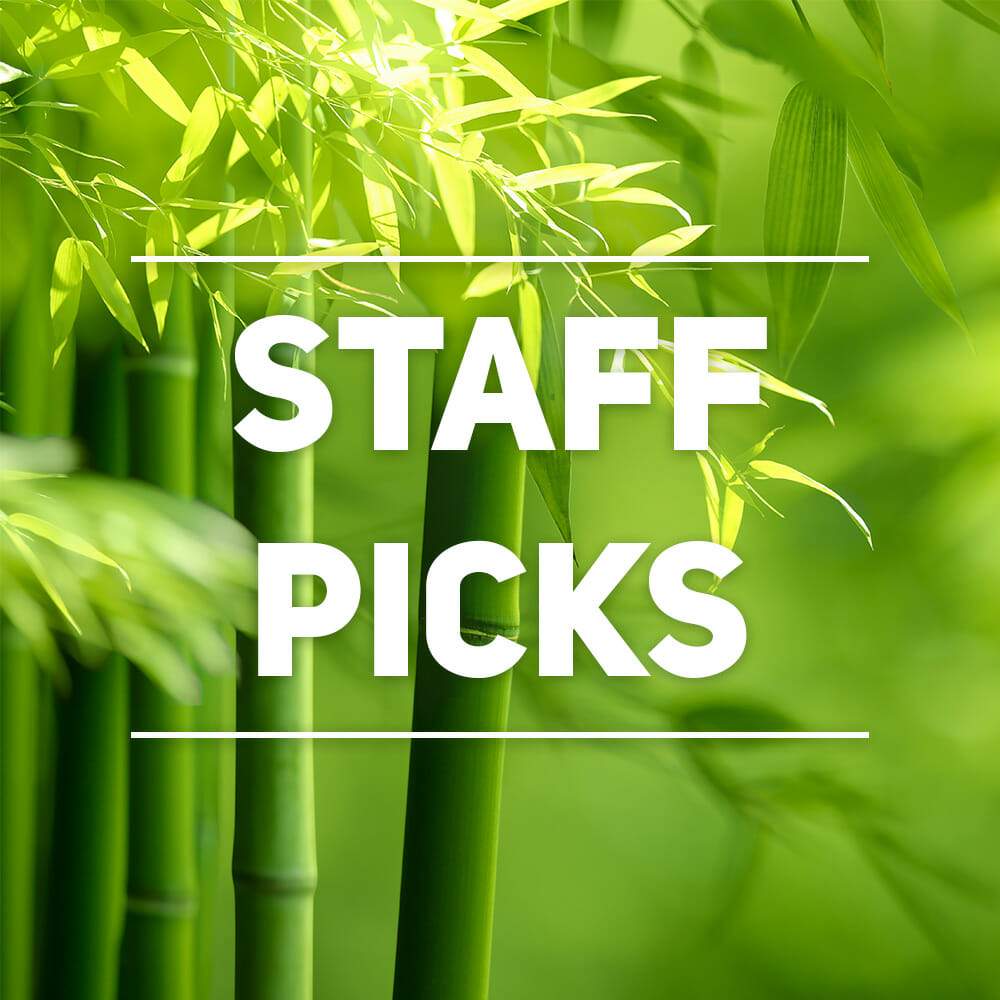 Staff Picks
