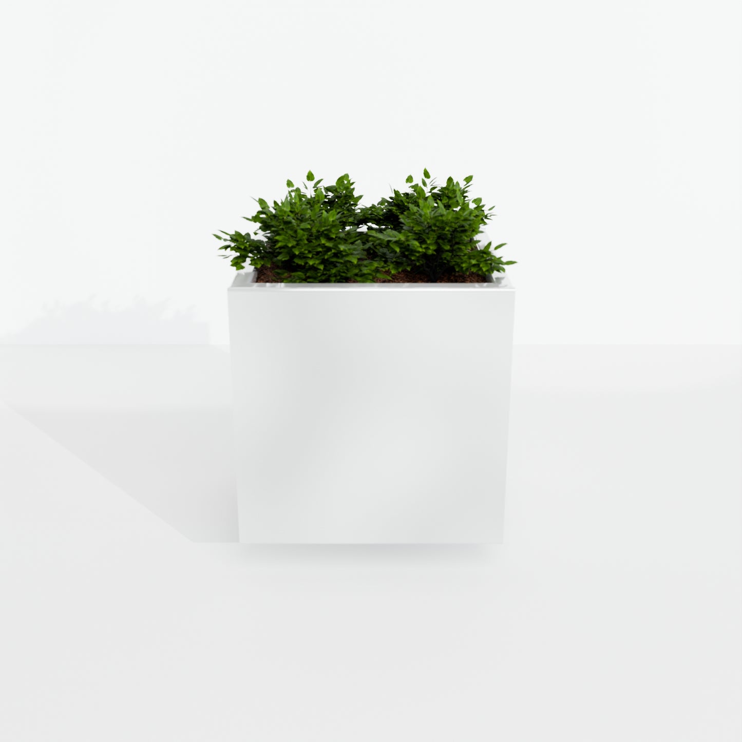 Modern Steel Planter Box