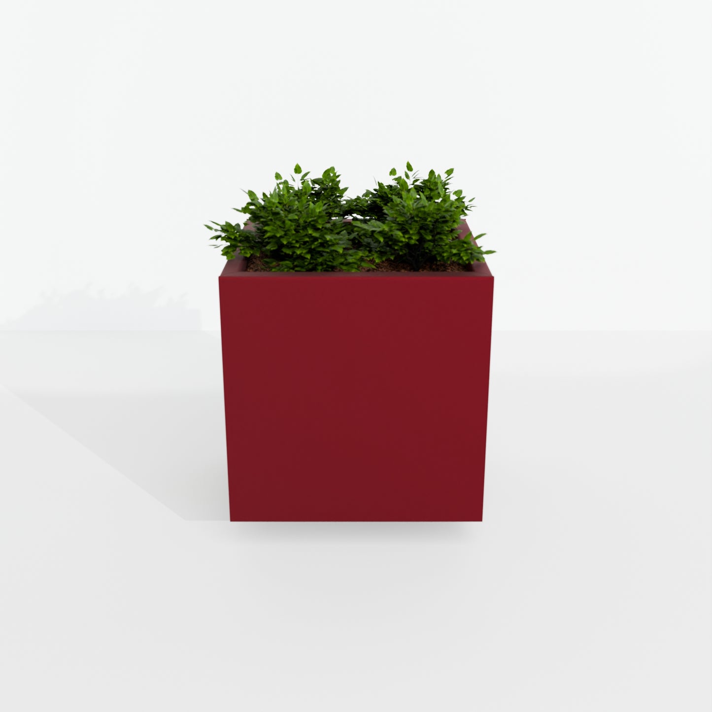 Modern Steel Planter Box