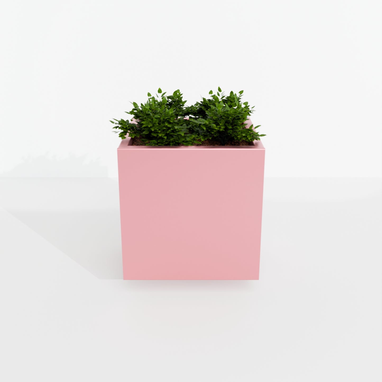 Modern Steel Planter Box