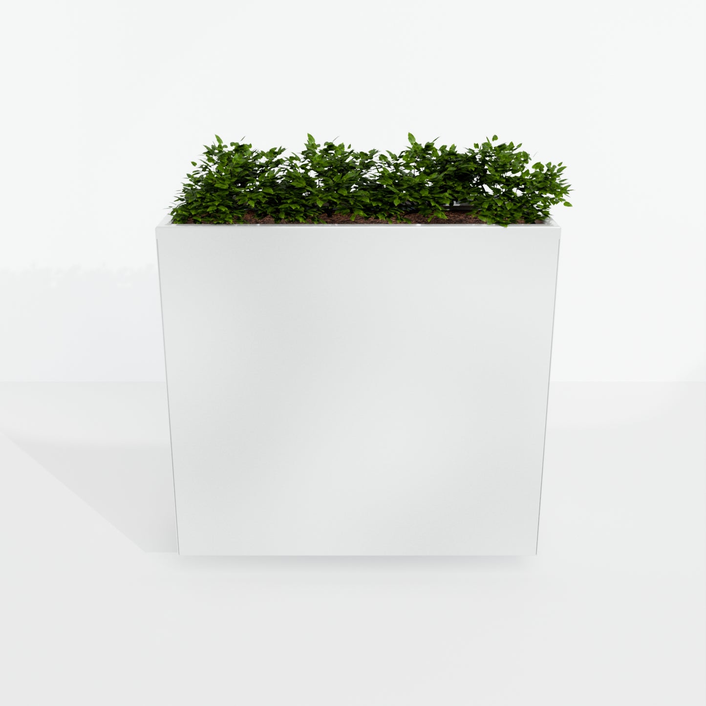Modern Steel Planter Box
