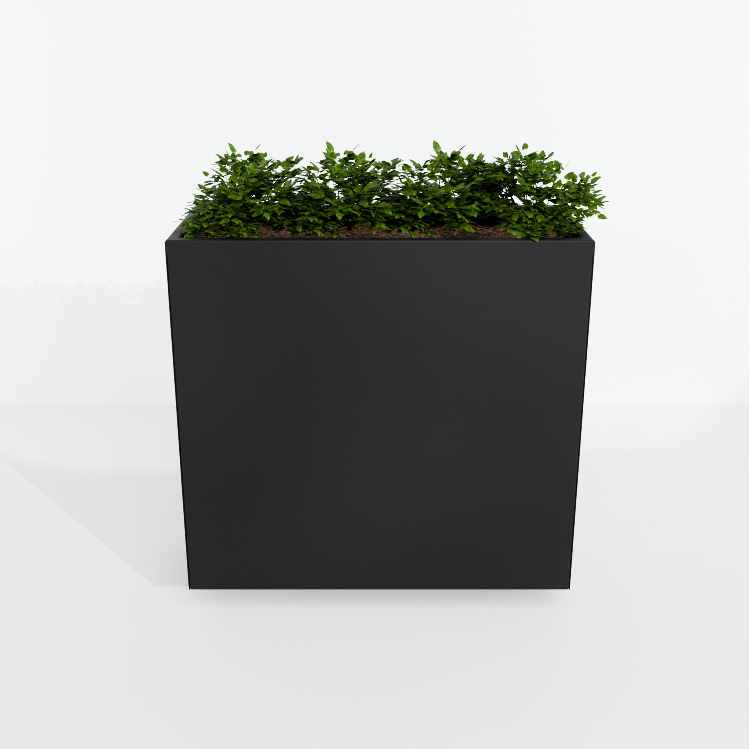 Modern Steel Planter Box
