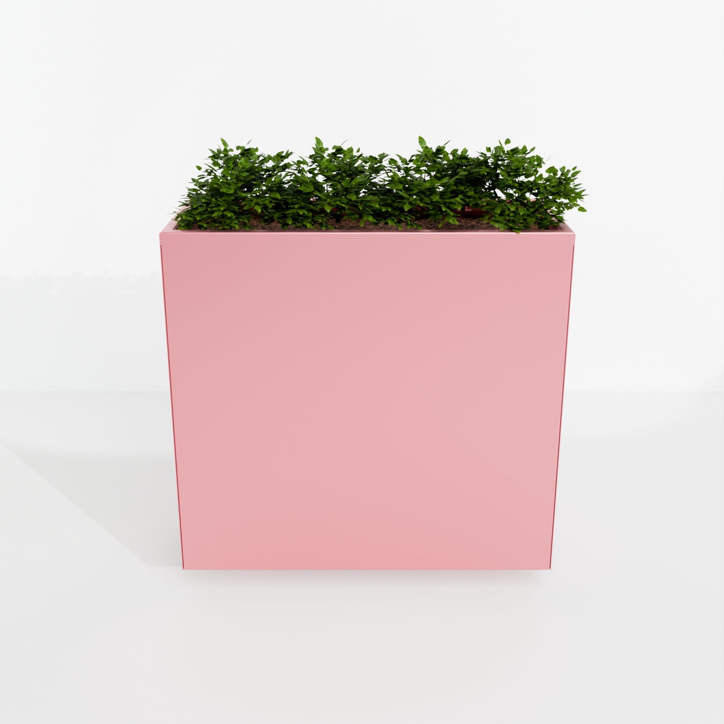 Modern Steel Planter Box