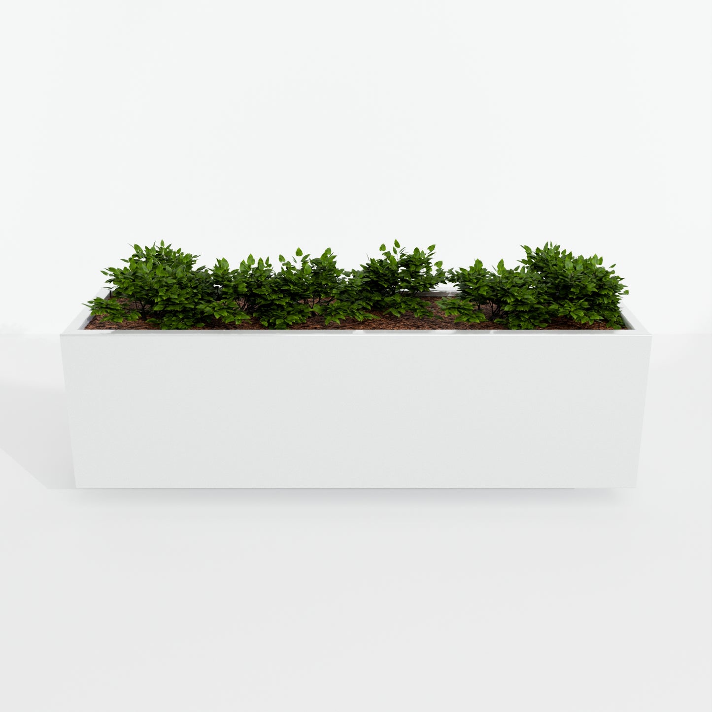 Modern Steel Planter Box