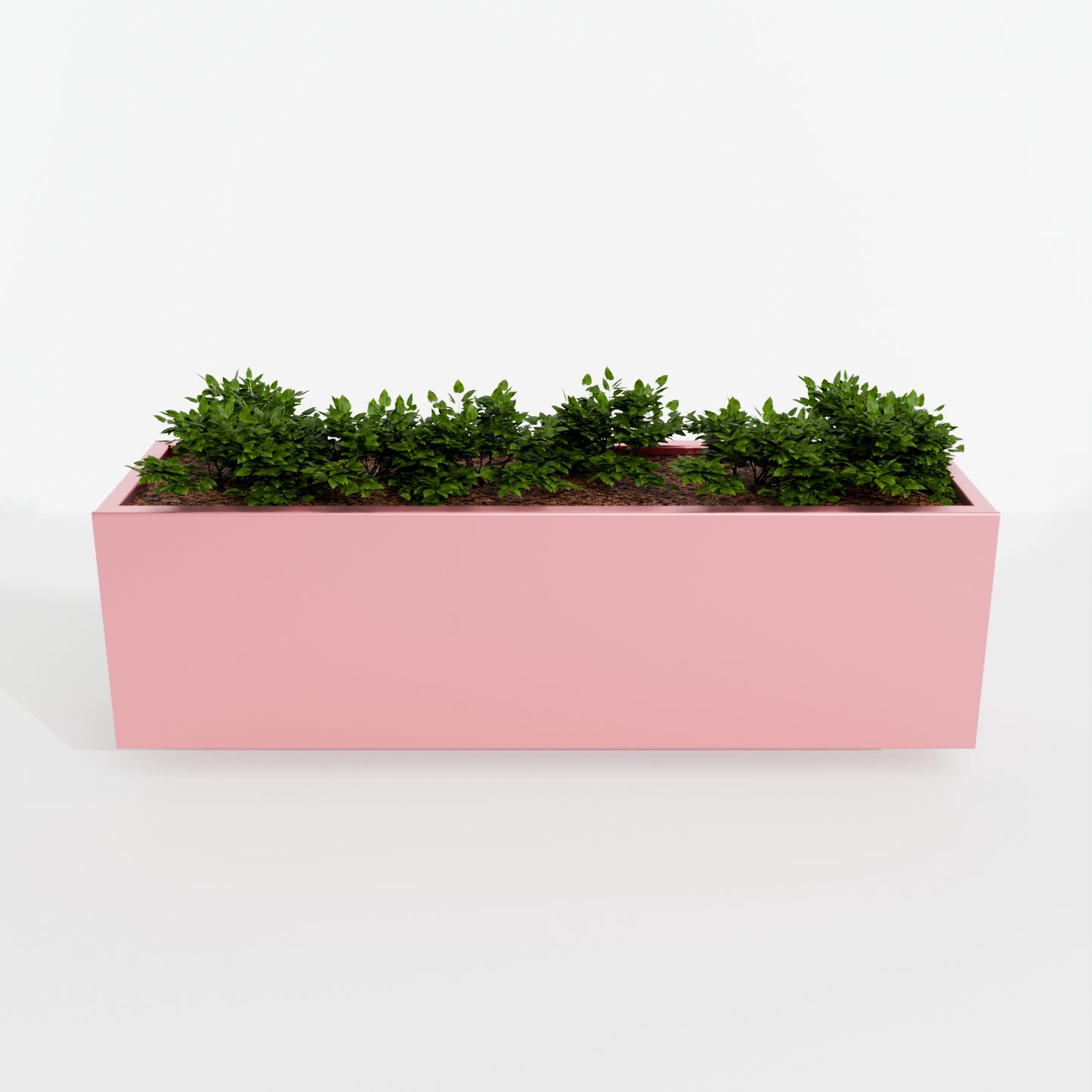 Modern Steel Planter Box