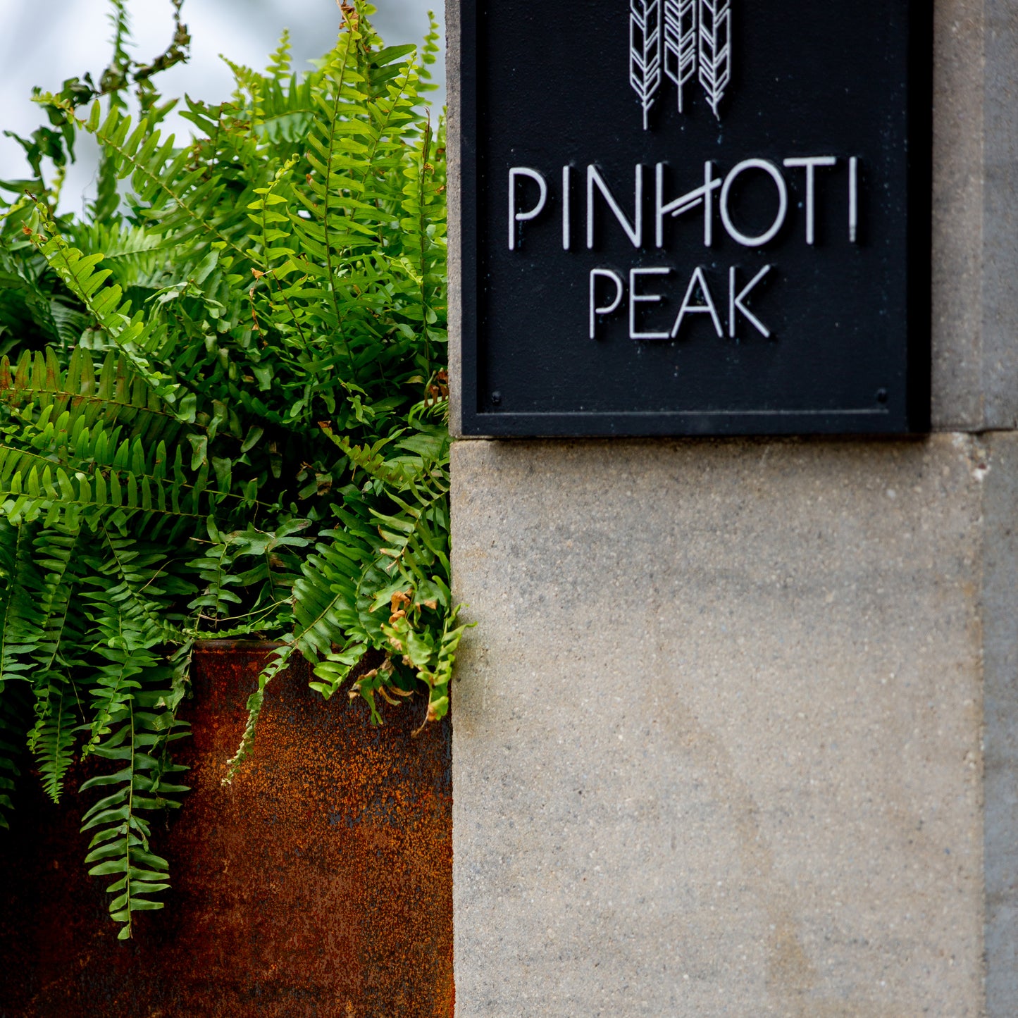 Modern Steel Planter Box