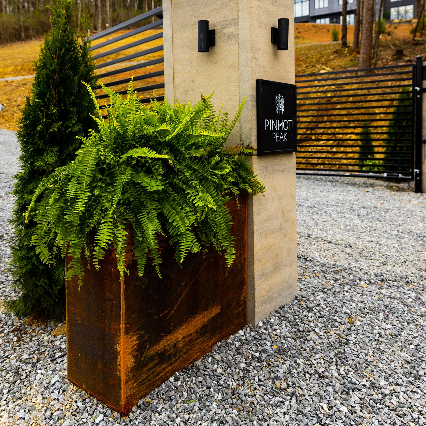 Modern Steel Planter Box