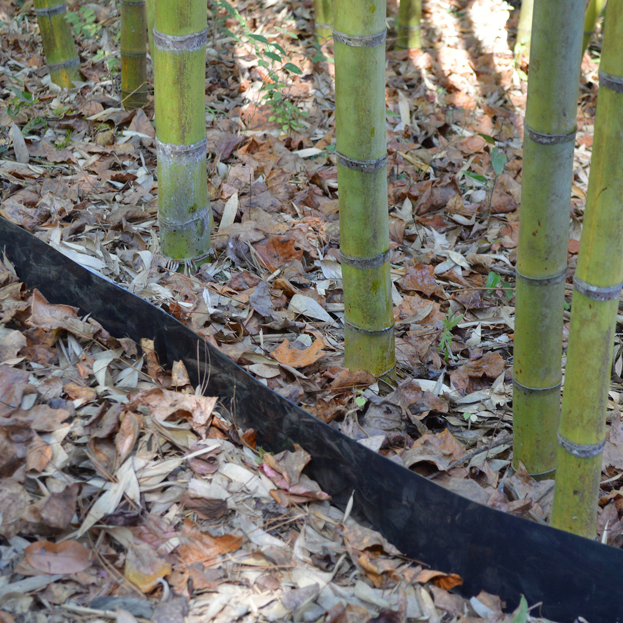 Bamboo Shield - 60 mil thick by 24in depth