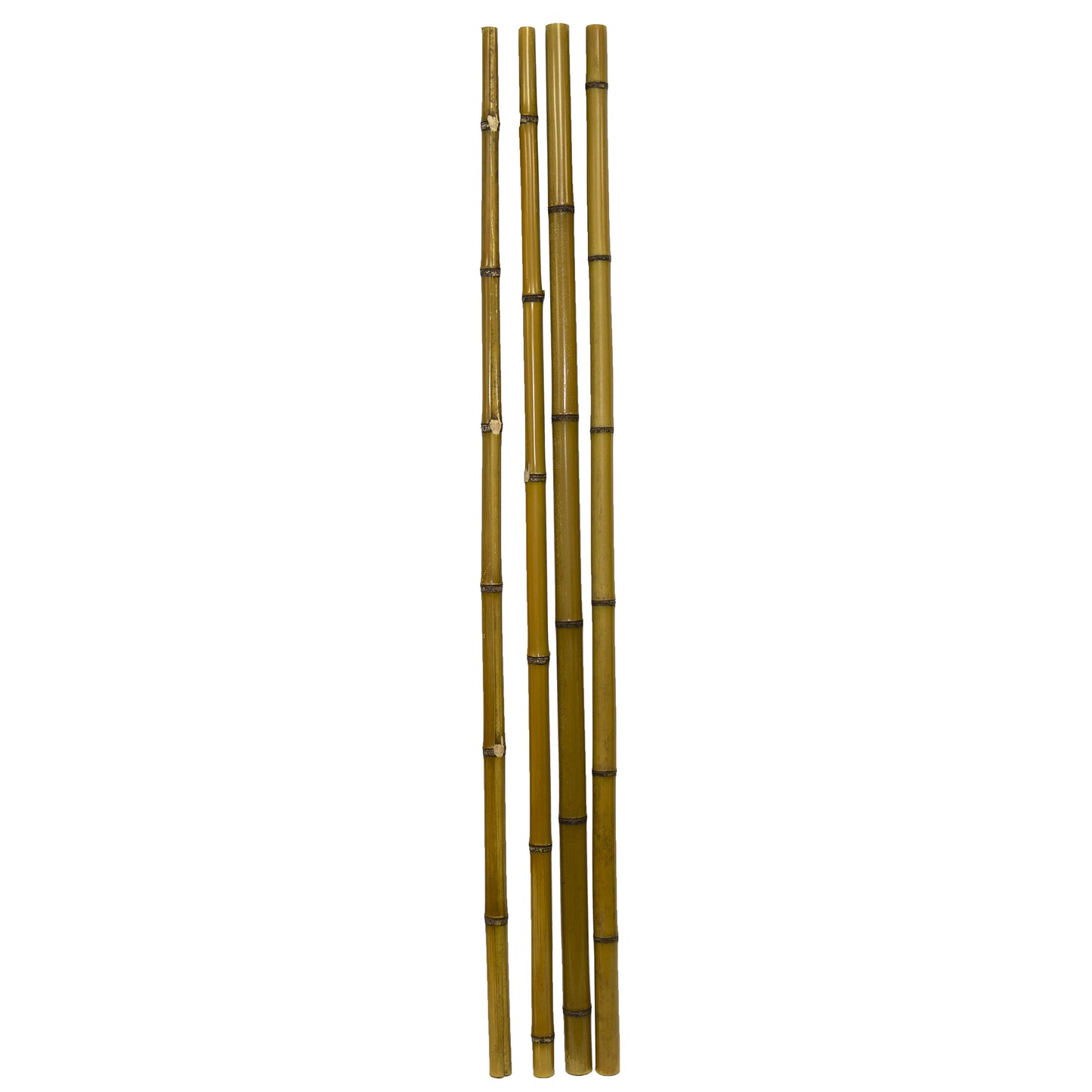 Bamboo Poles