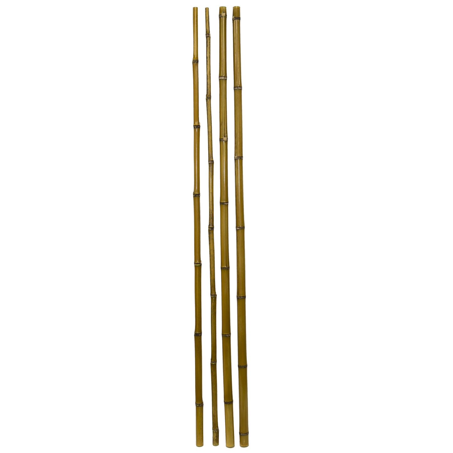 Bamboo Poles