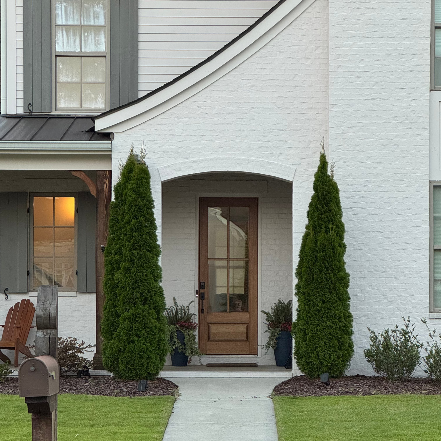 Front of a white house with a wooden door, green grass, and two emerald green thuja trees framing out the front entrance