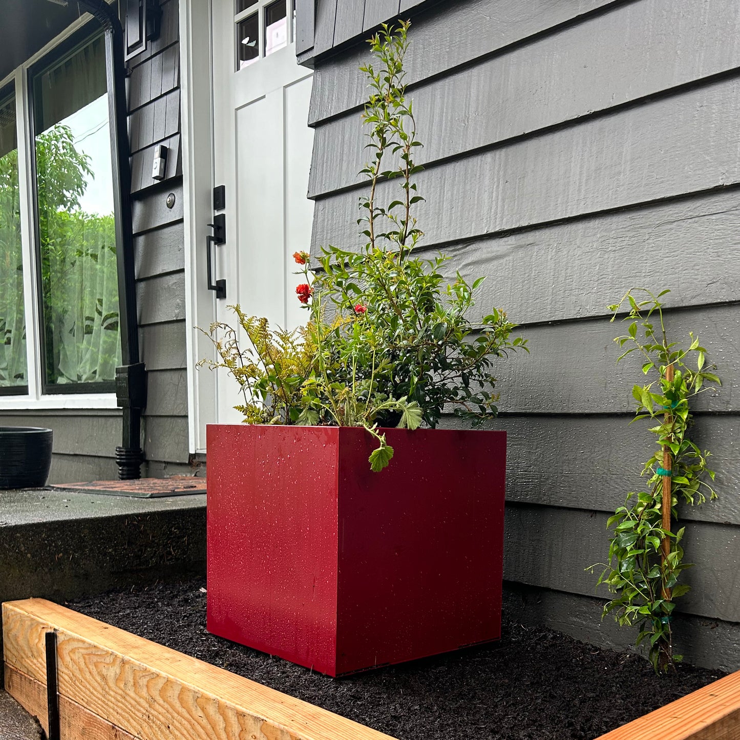 Modern Steel Planter Box