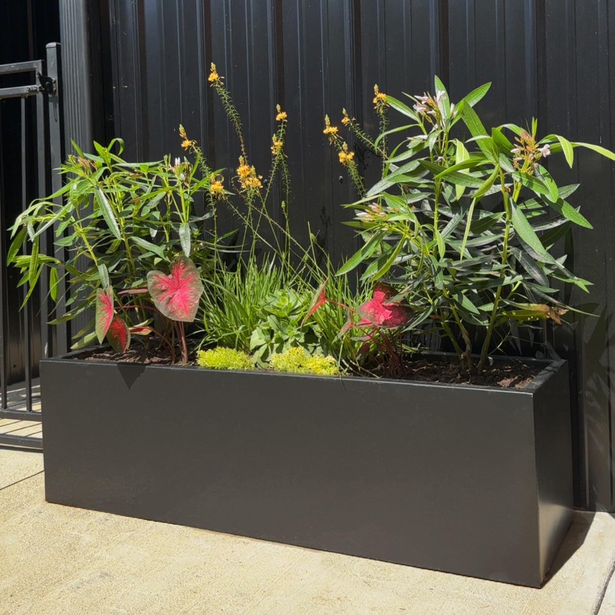 Modern Steel Planter Box
