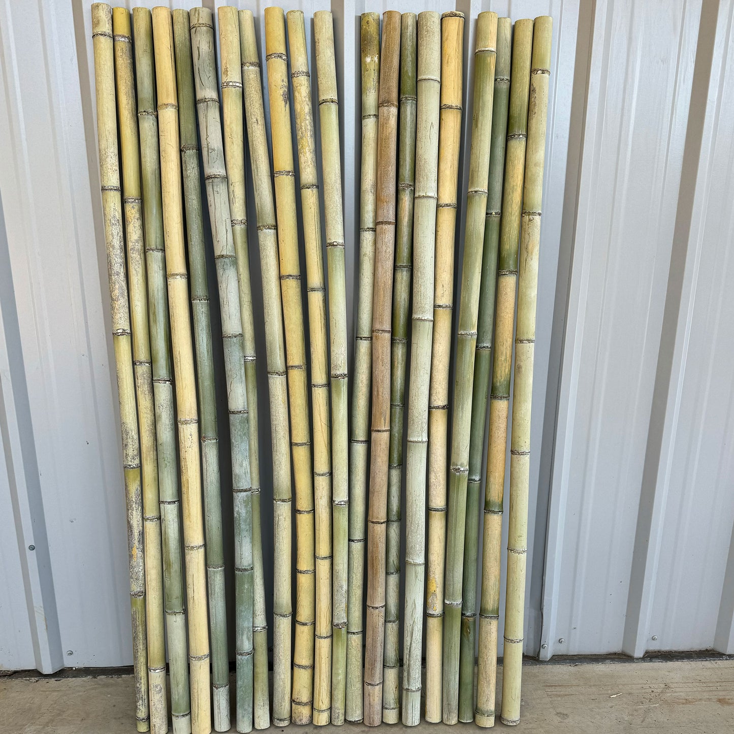 Bamboo Poles