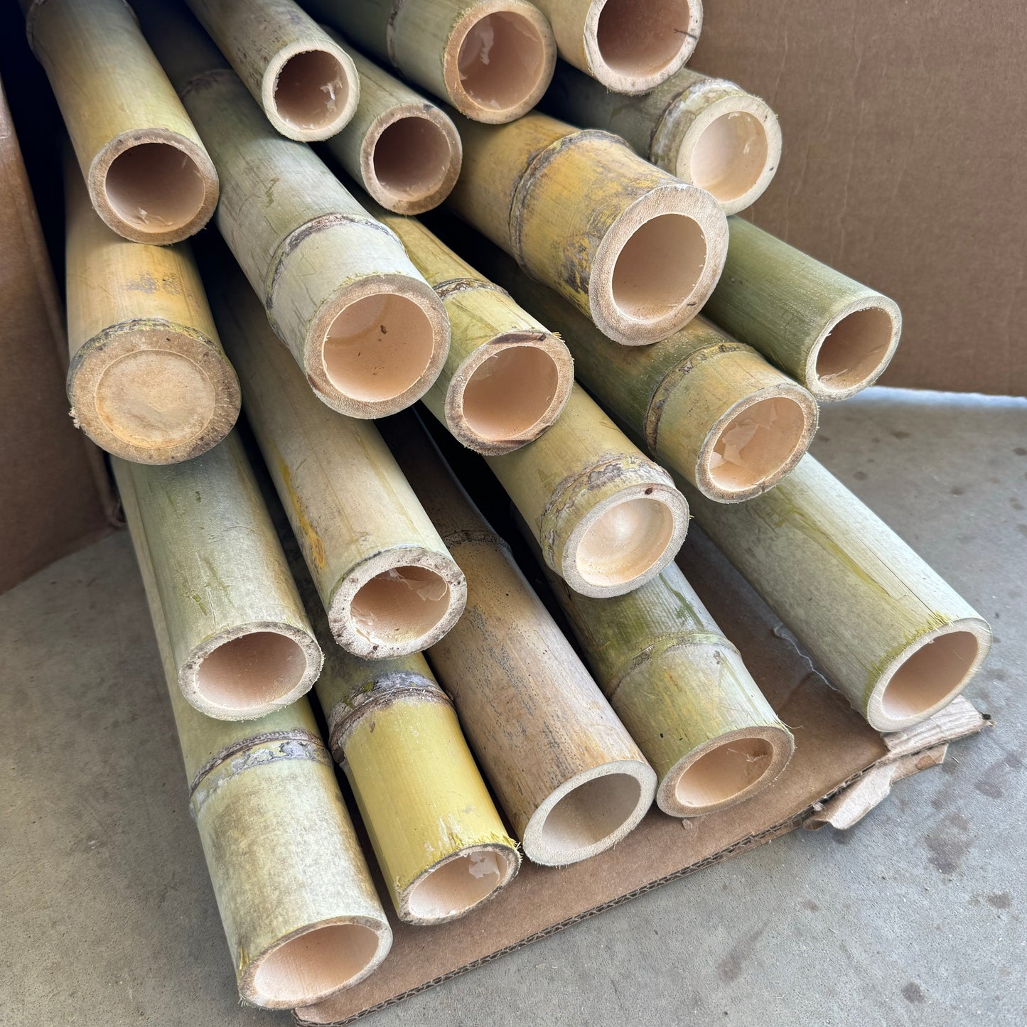 Bamboo Poles