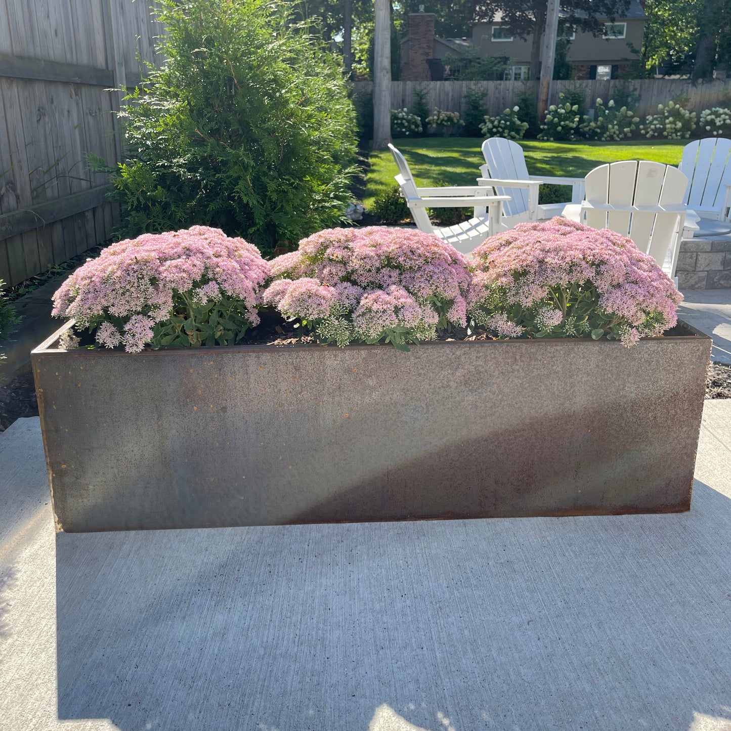 Modern Steel Planter Box