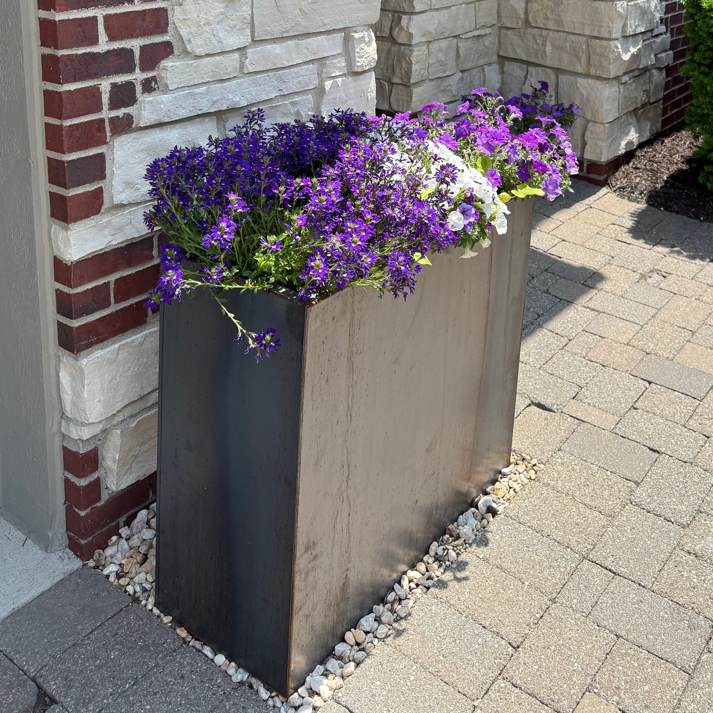 Modern Steel Planter Box