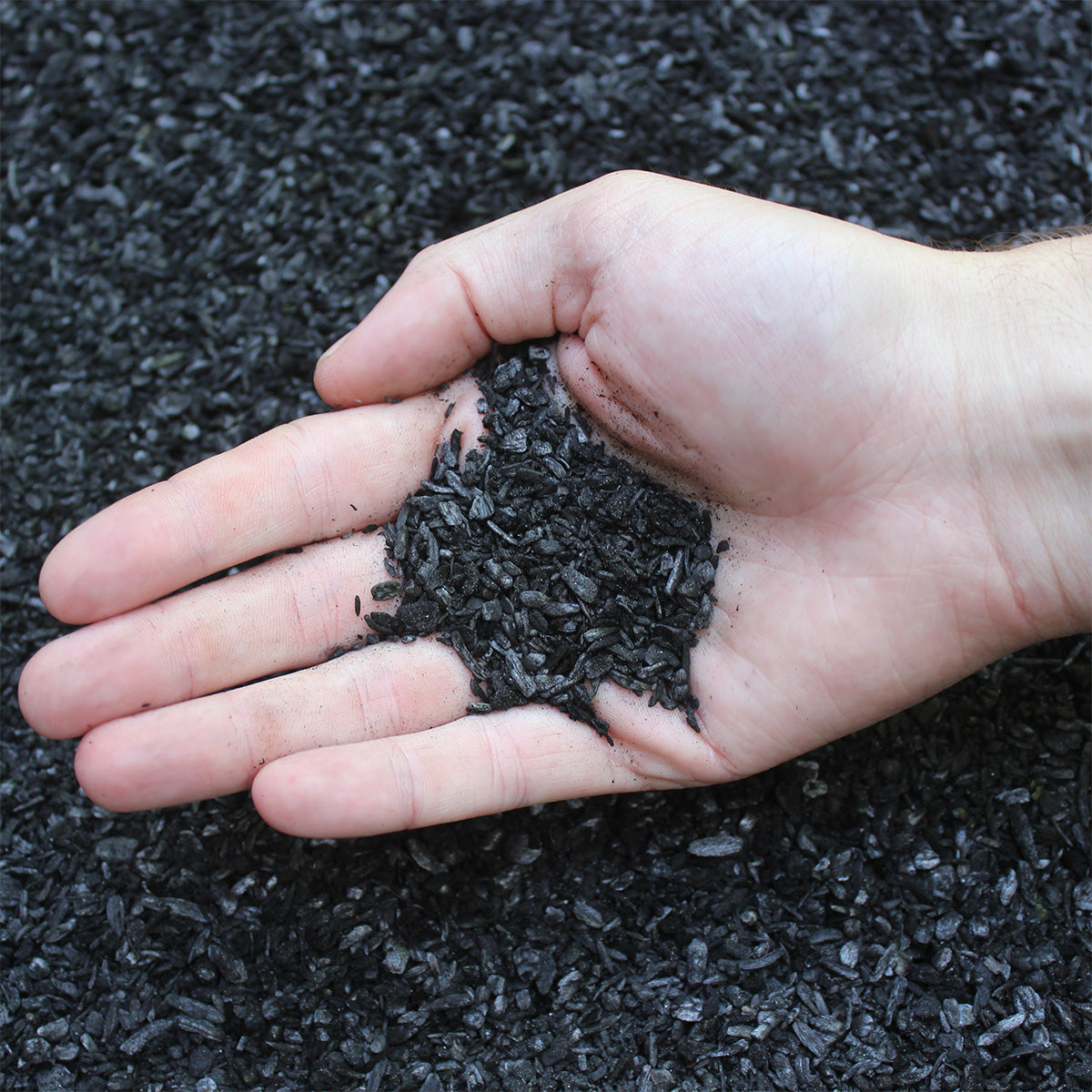 Biochar in hand