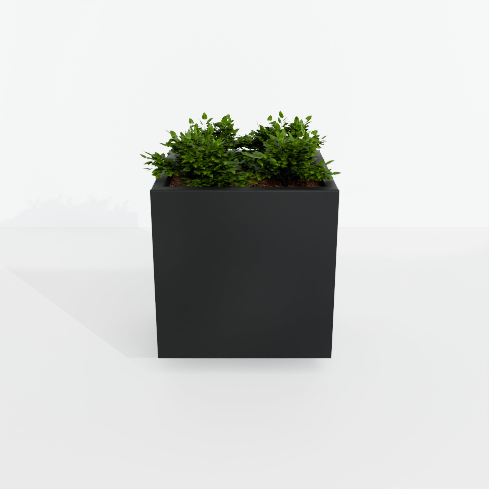 Modern Steel Planter Box
