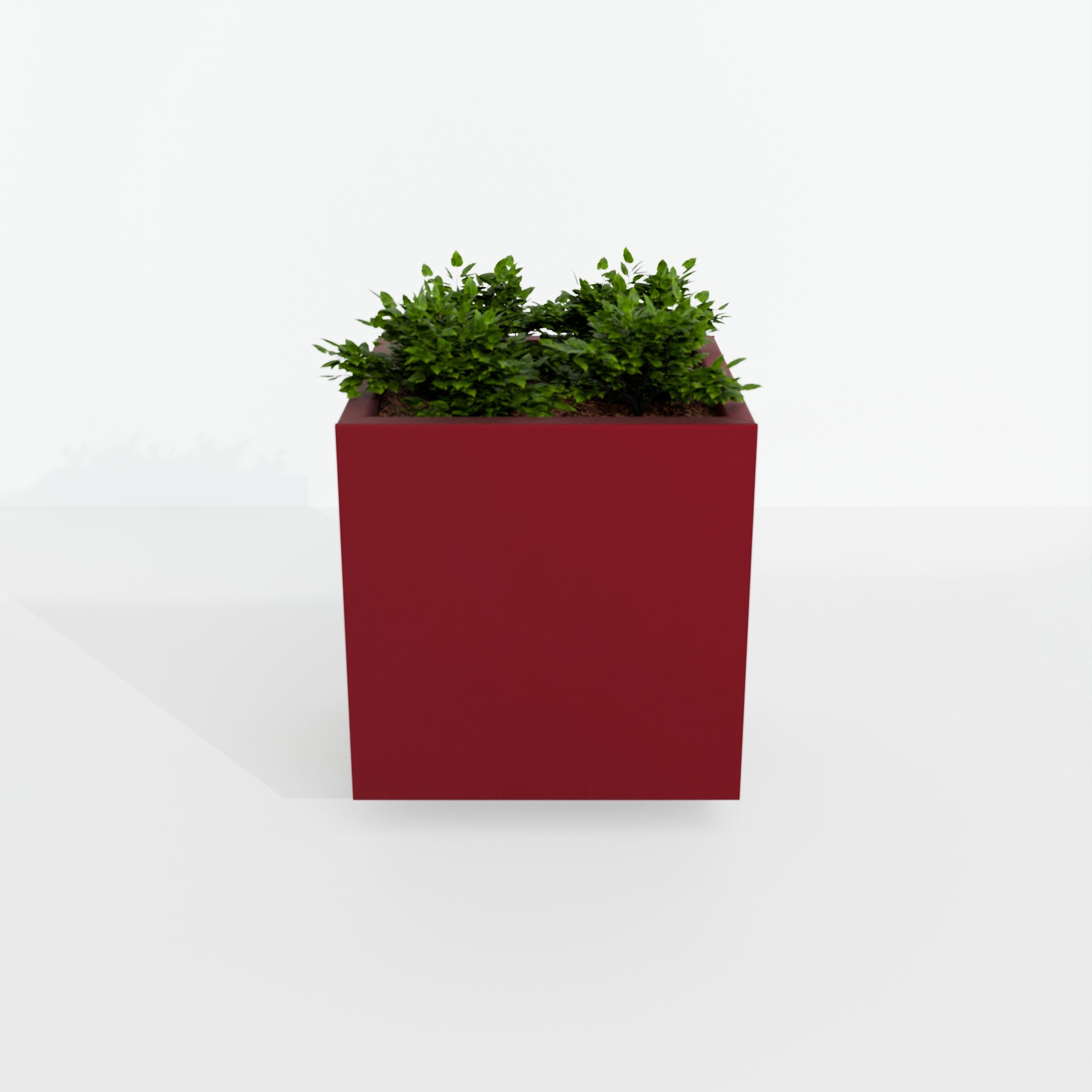 Modern Steel Planter Box