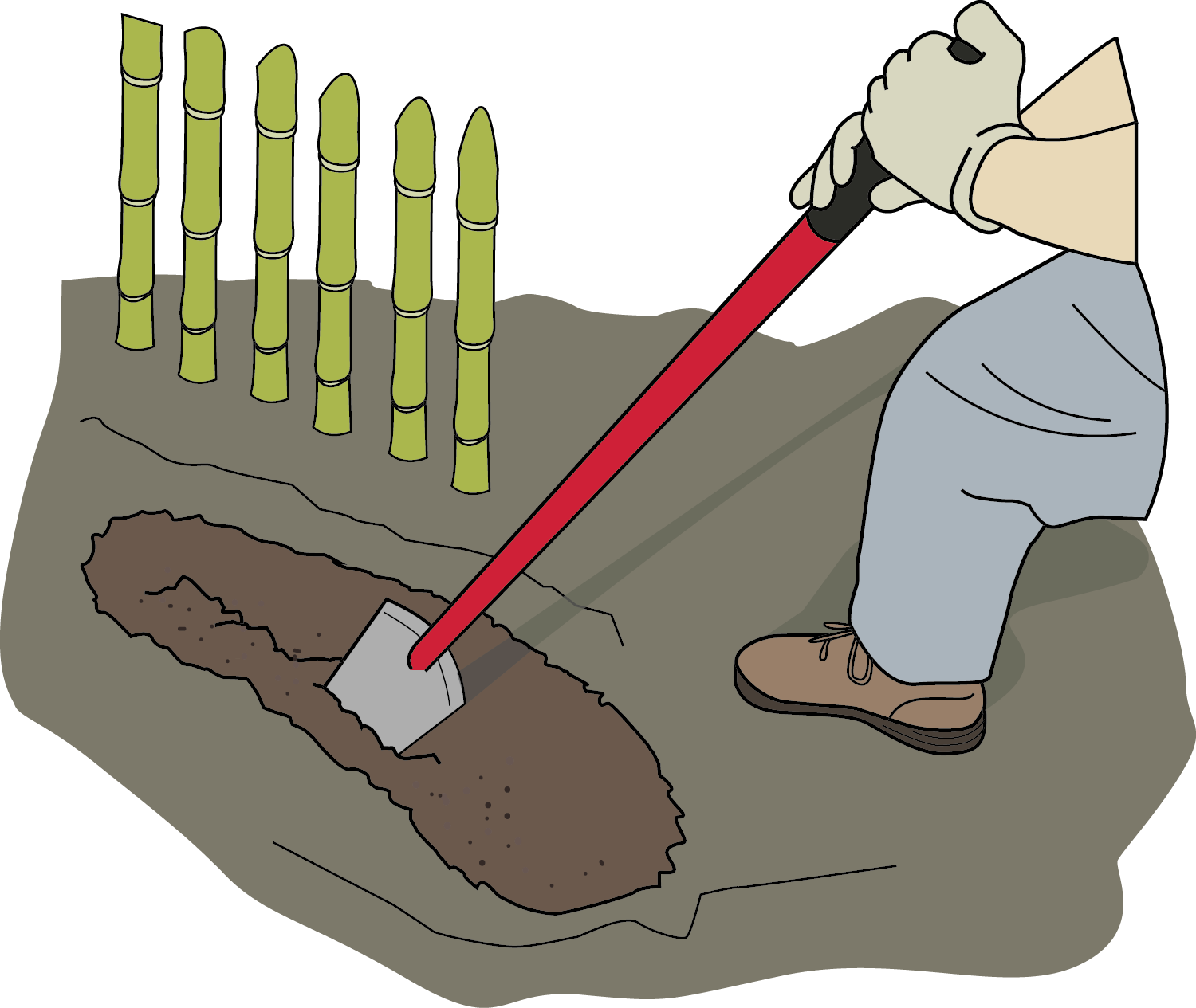 Digging a trench with a shovel