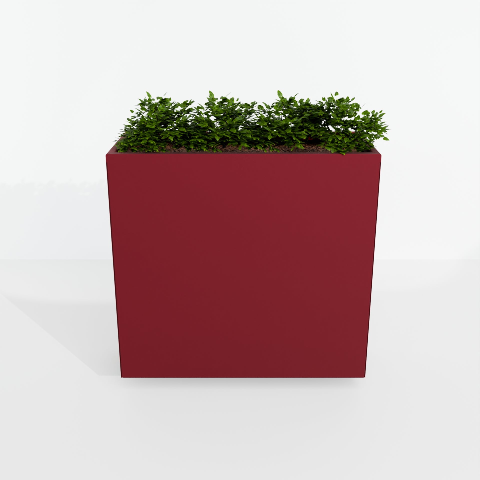 Modern Steel Planter Box