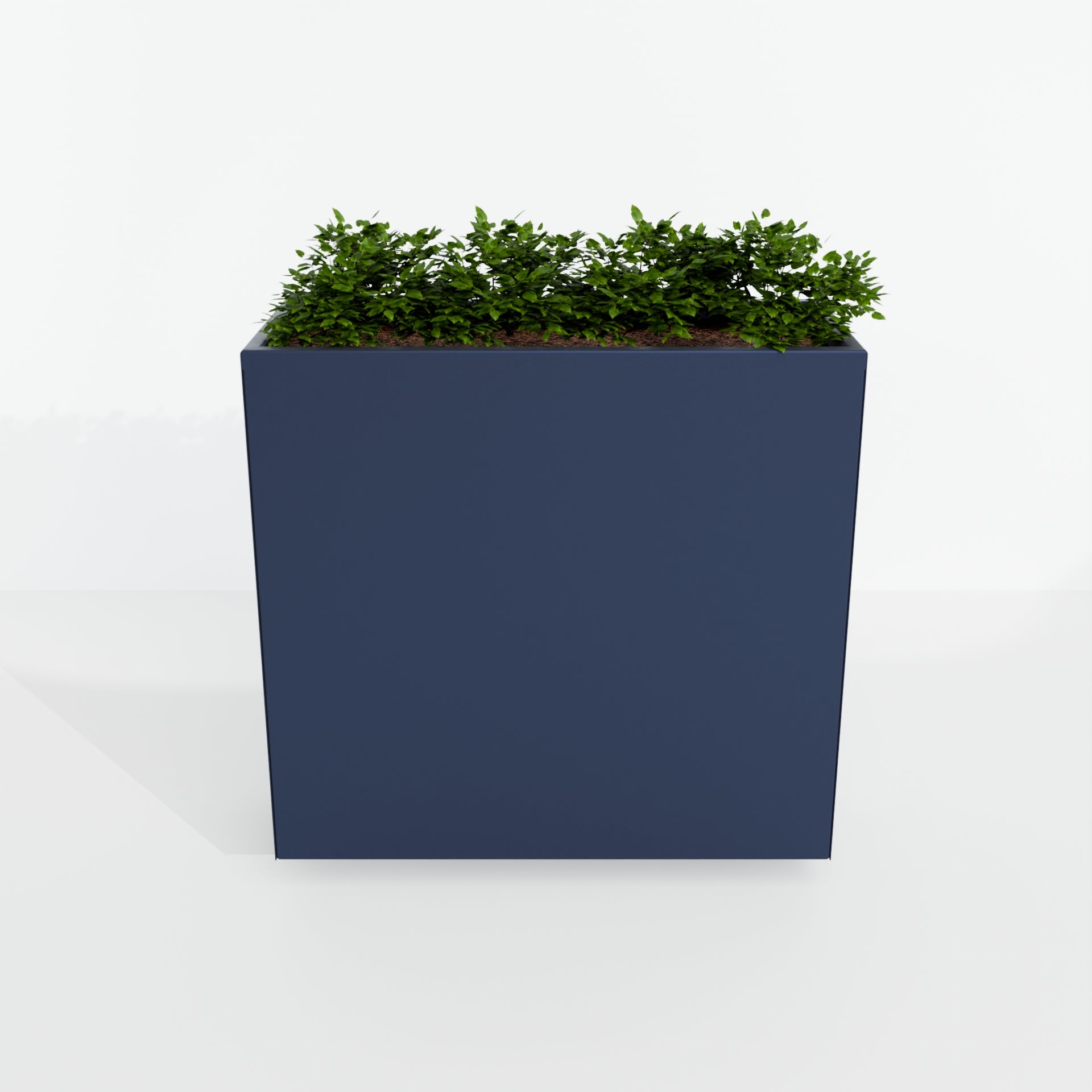 Modern Steel Planter Box