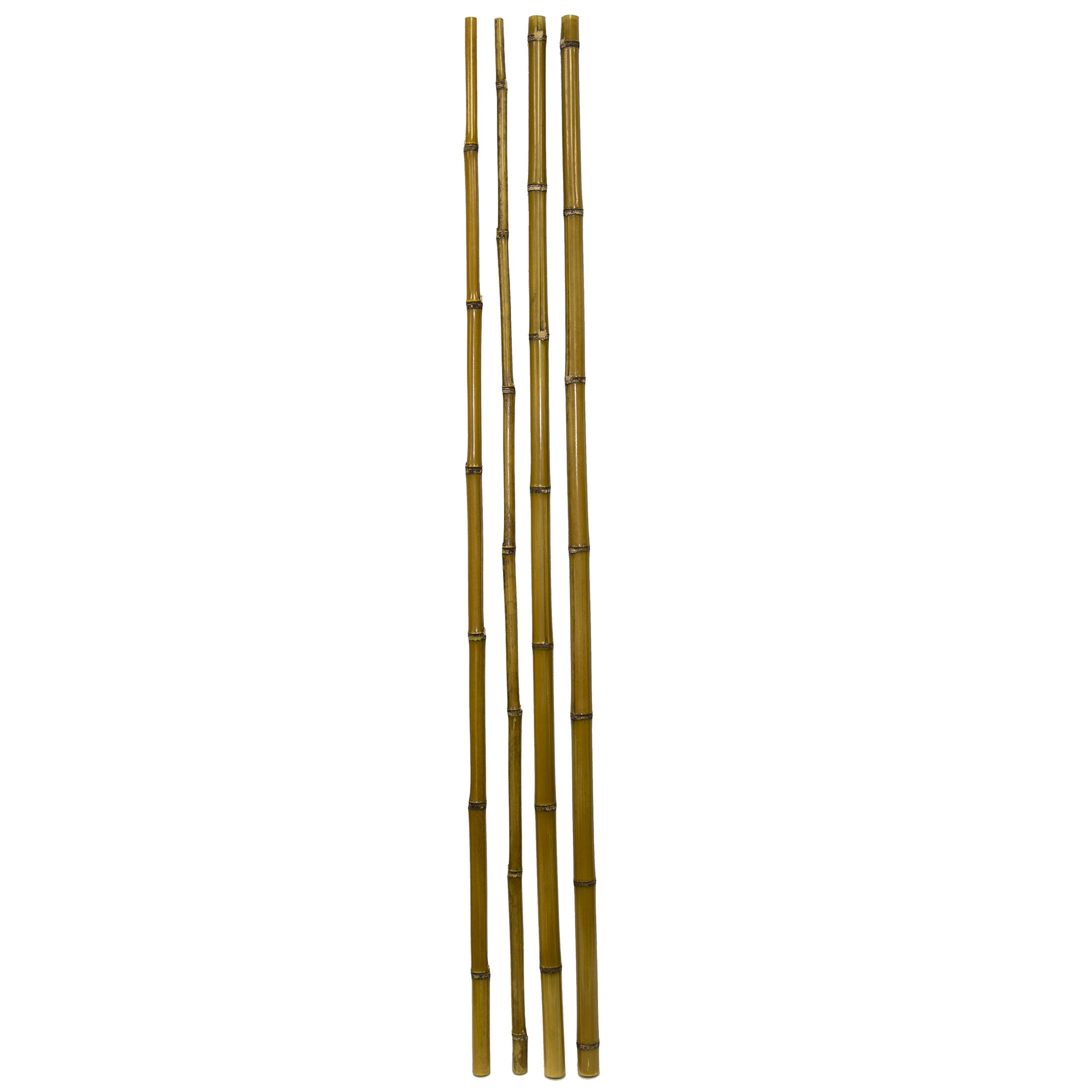 Bamboo Poles