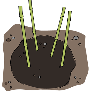 Set and backfill
