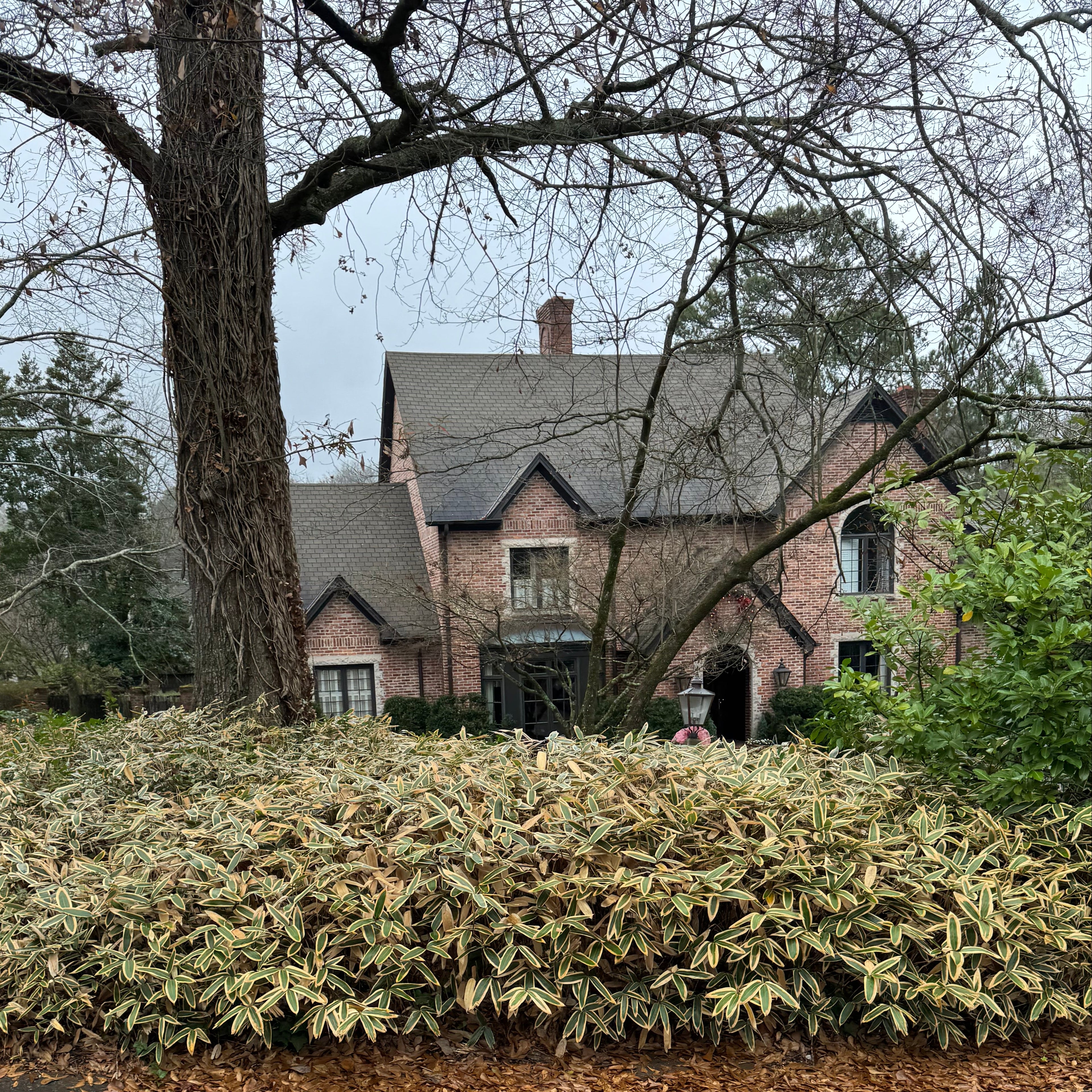 Brick house with a garden  of sasa vetchii along a road
