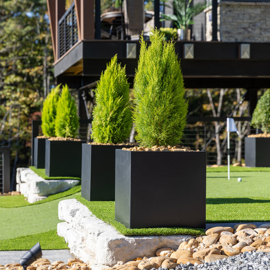 Modern Steel Planter Box