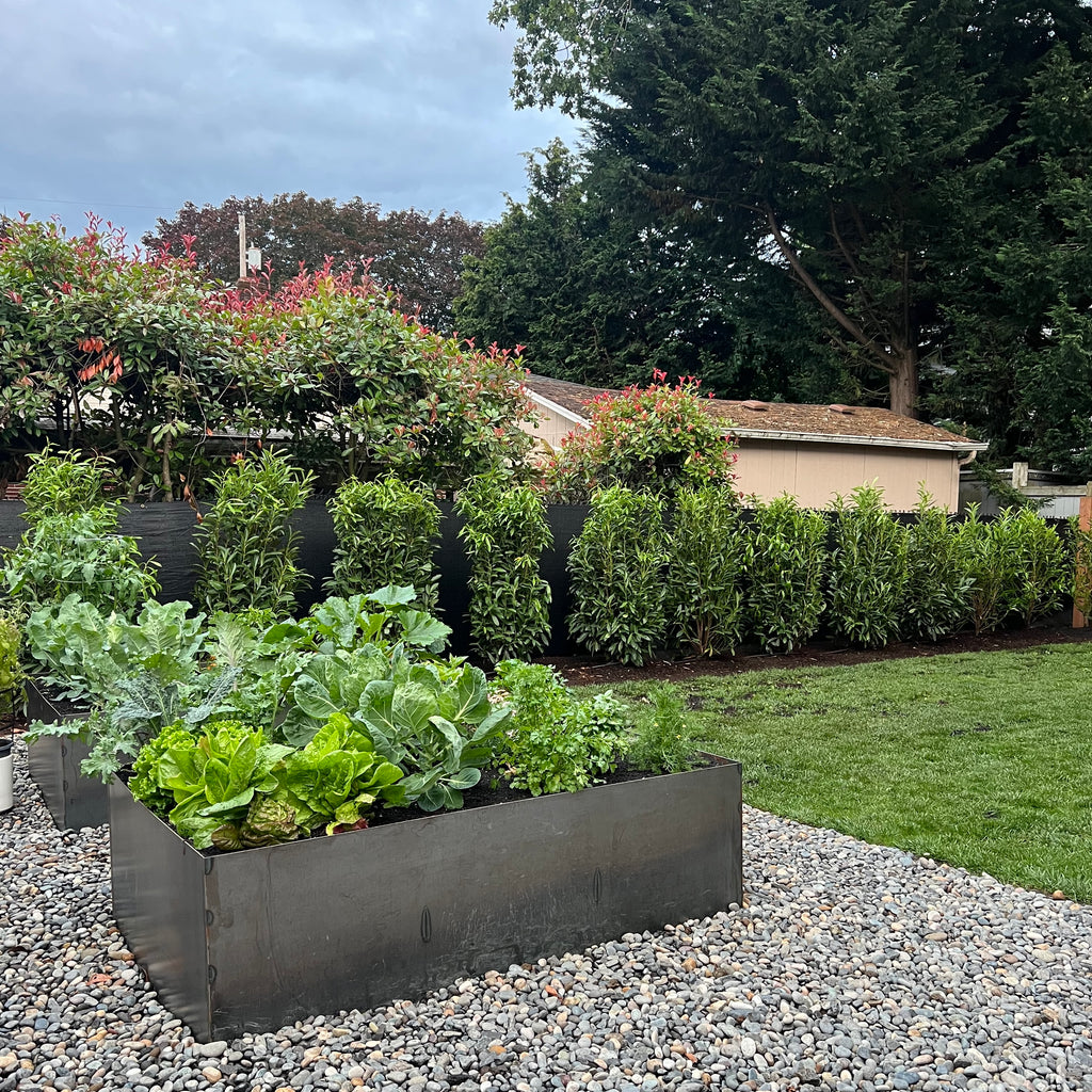 Modern Steel Planter Box
