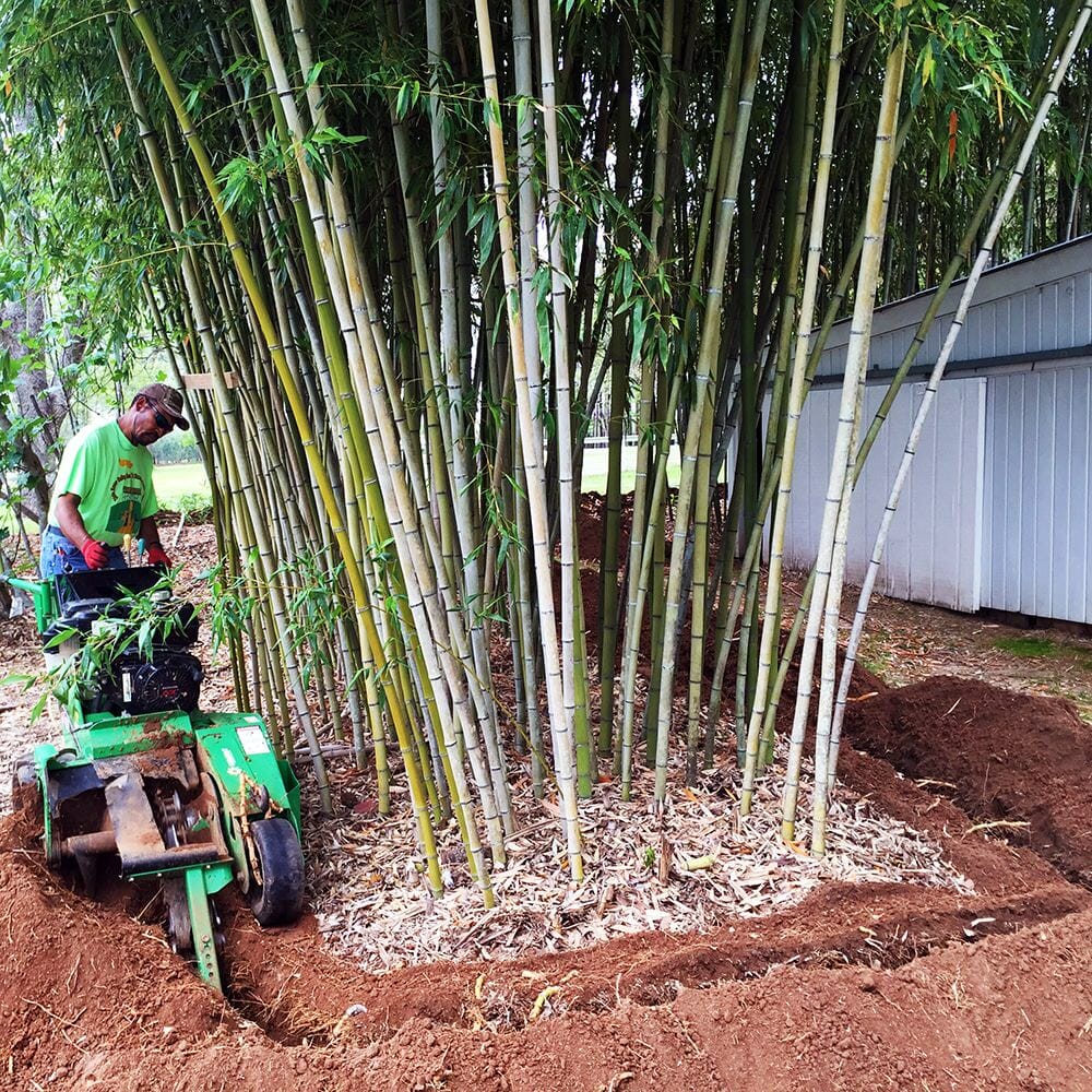 bamboo shield trenching machine