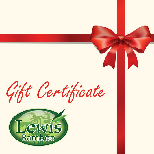 $100 Gift Certificate