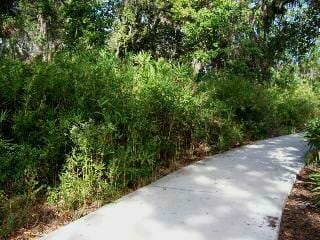 Native Rivercane